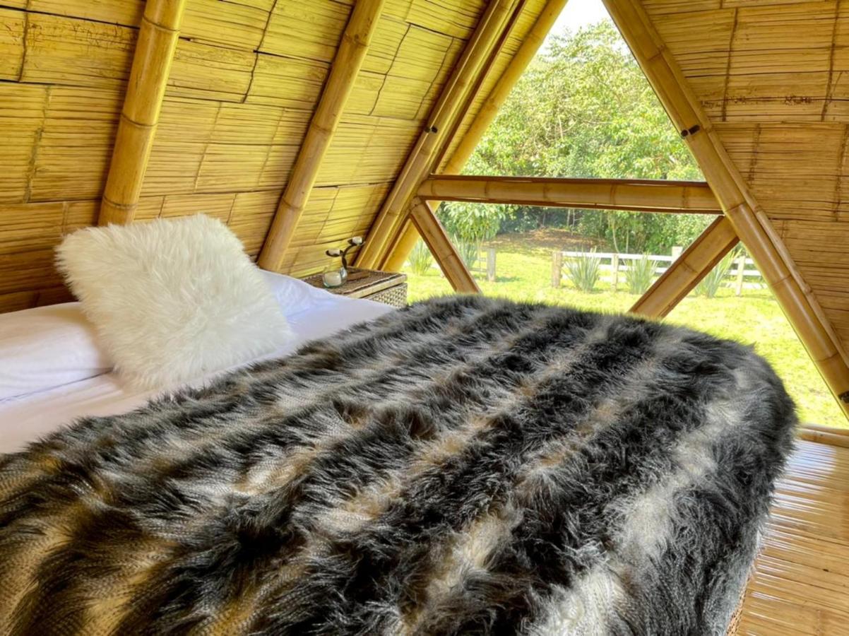 Glamping La Herradura Santa Rosa de Cabal Dış mekan fotoğraf
