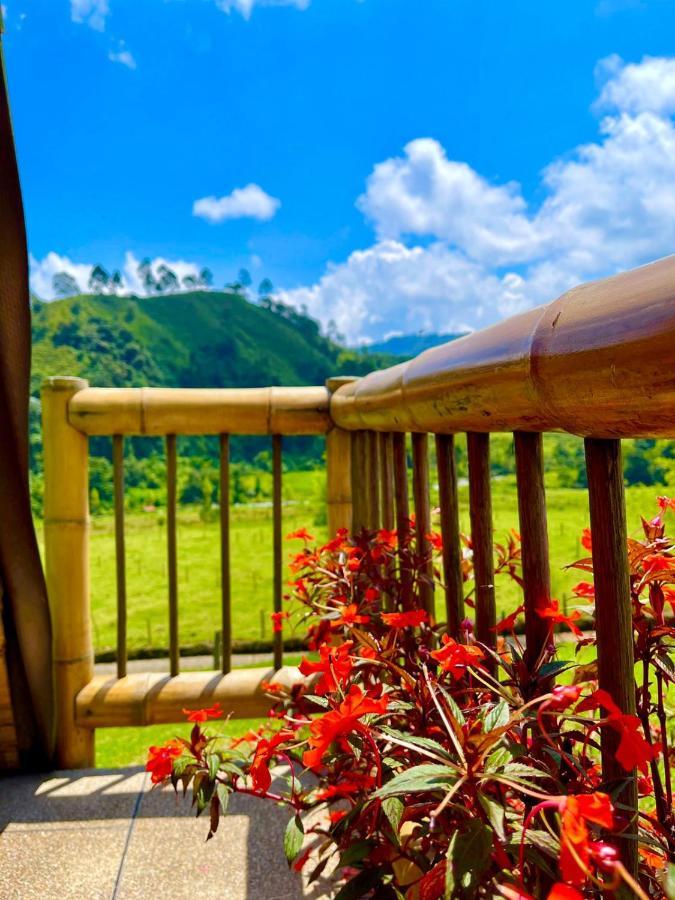 Glamping La Herradura Santa Rosa de Cabal Dış mekan fotoğraf