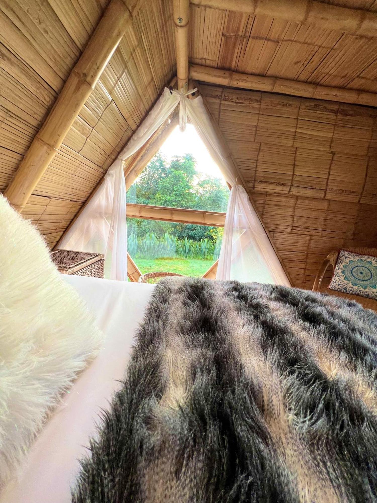 Glamping La Herradura Santa Rosa de Cabal Dış mekan fotoğraf